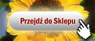 Sklep internetowy
